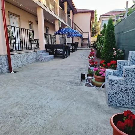 Casa Constantin 招待所